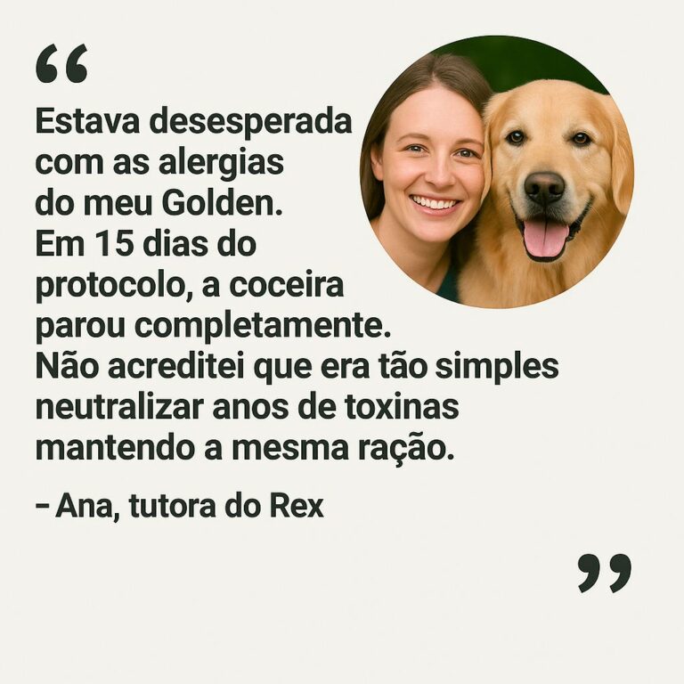 2f3e4f53-881b-4990-aed1-0de476b4b847